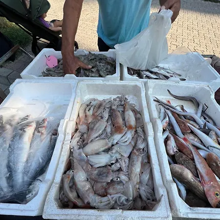 Salty 아파트 Durrës
